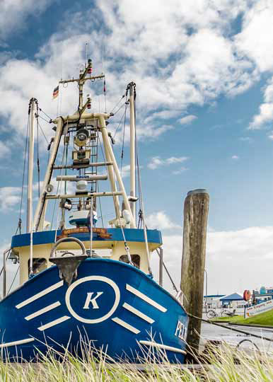Hafenfest auf der nordfriesischen Insel Pellworm